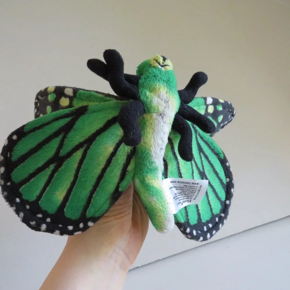 Fiesta green butterfly